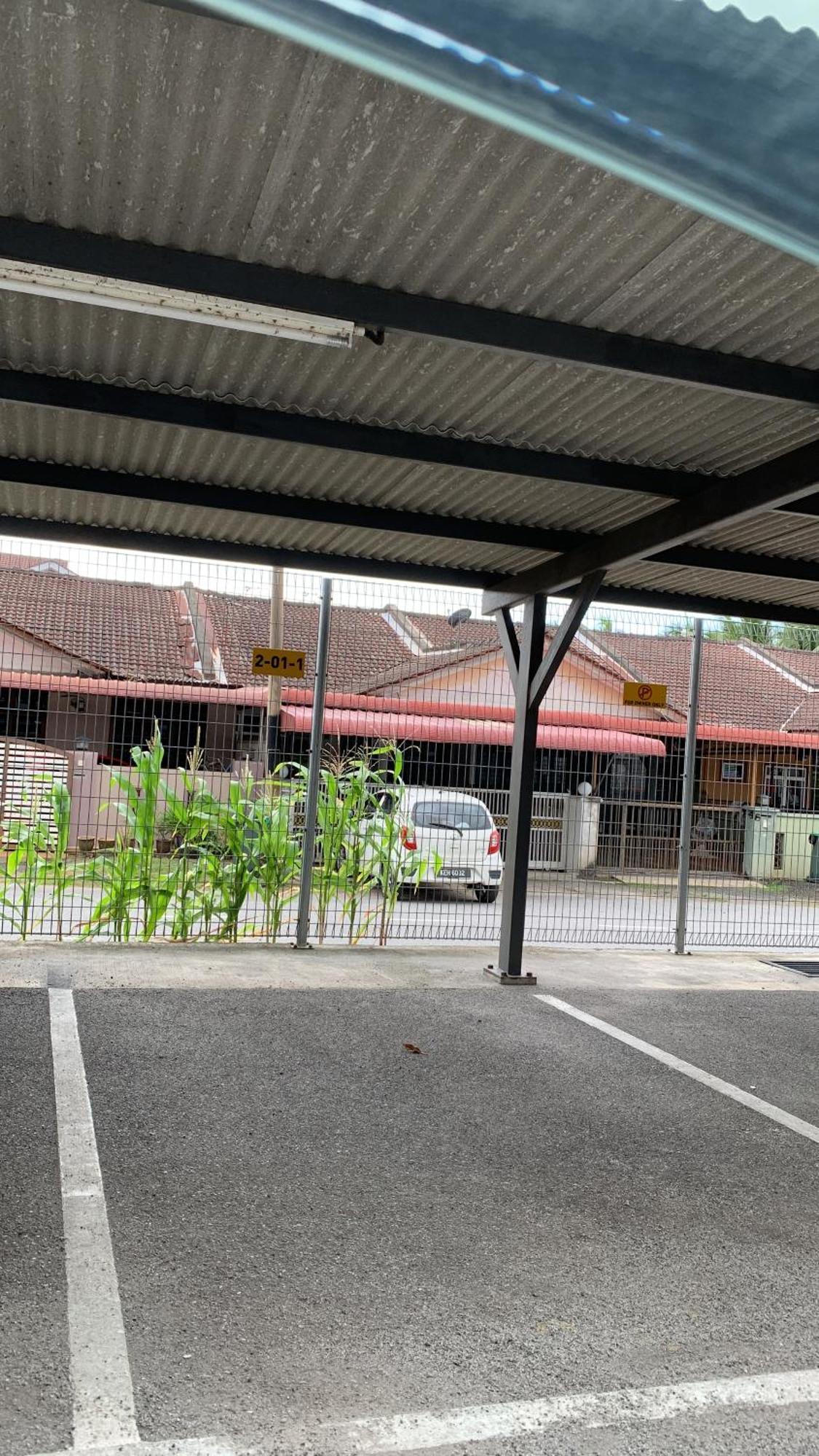 Sofea Imperio @ * Alor Setar